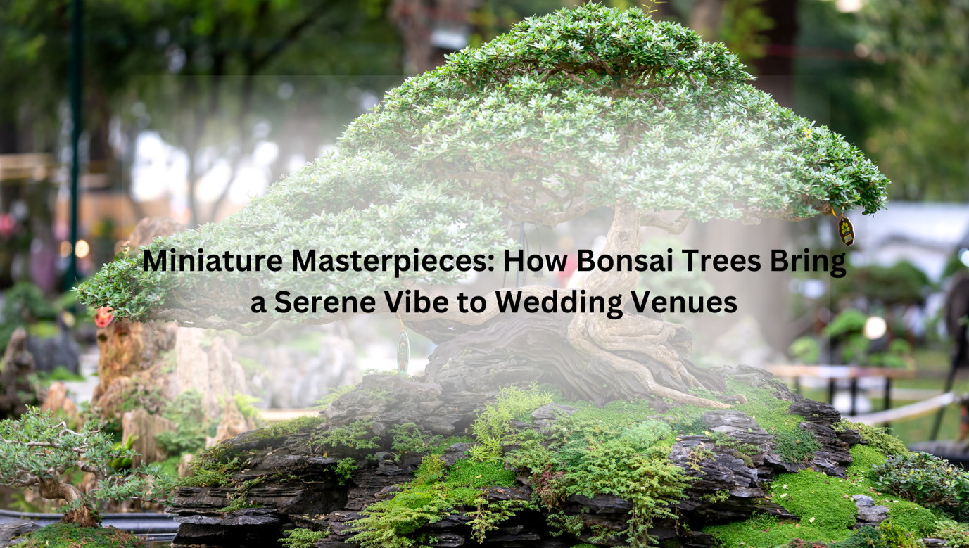 bonsai small Bonsai